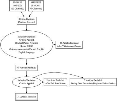 Dorsal Root Entry Zone Lesioning for Brachial Plexus Avulsion Injuries: Case Series and Literature Review